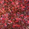 Coprosma Pacific Sunset -Le Jardin Secret Boutique Coprosma repens Pacific Sunset 88790 1